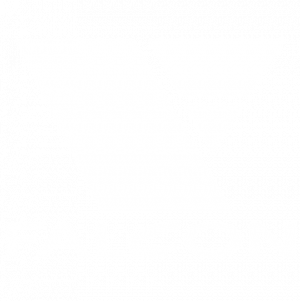 logo - Falcon