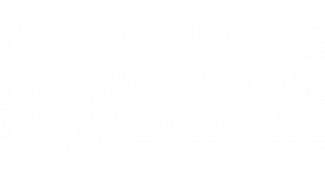 logo - Státní fond kinematografie